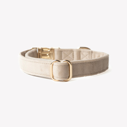 LANE - Velvet Dog Collar