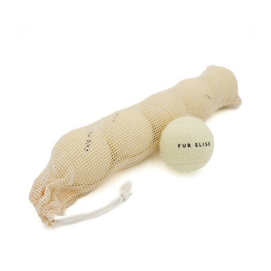 COOPER - Tennis Ball Set of 5 - Bone