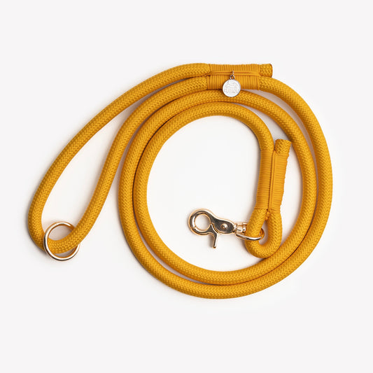 BAILEY - Braided Rope Leash