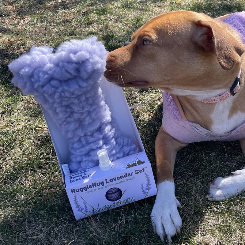 Lavender Bone & 2oz Calming Spray Dog Toy Set